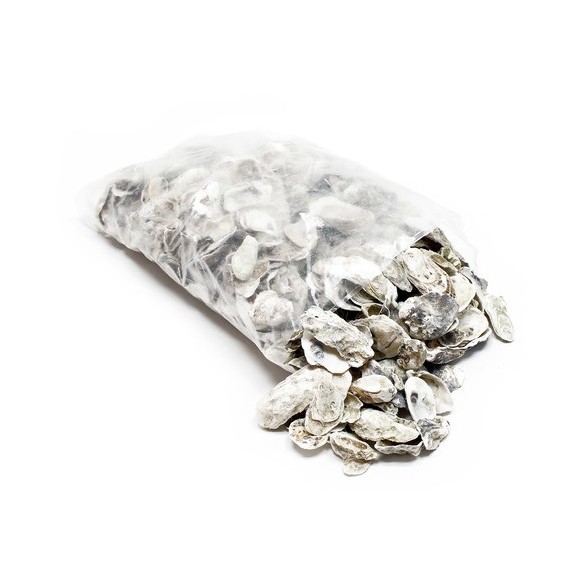 Gusci d’ostrica - sacchetto 5 kg