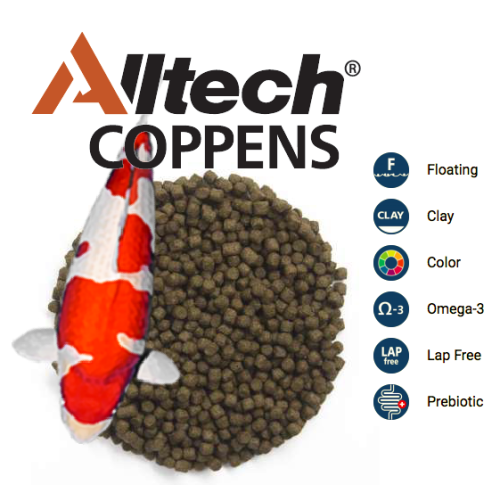 Koi Boost 6 mm - 2 kg