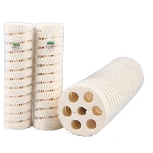 Bacteria House Mountain...