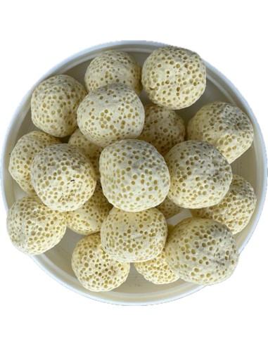 Pond-Corn 38 lt (15 kg)