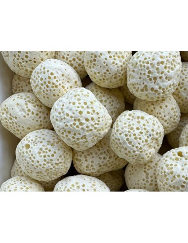 Pond-Corn 38 lt (15 kg)